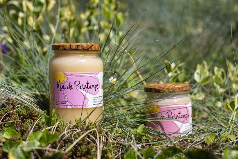 MIEL DE PRINTEMPS
